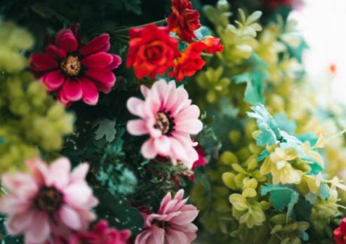 Bouquet di Rose Rosse Ibride Tea Fai-da-te: Elenca la tua Casa con Eleganti Composizioni Floreali