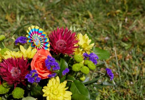 Trasforma il tuo giardino con le splendide varietà di Zinnie: Una guida completa